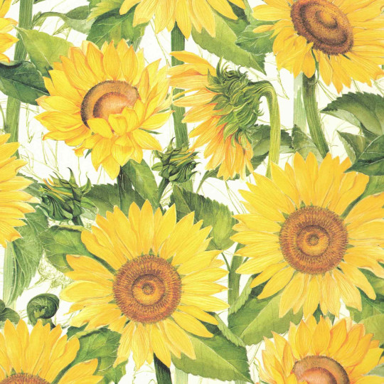 large Sunflowers Floral Print Italian Paper ~ Tassotti
